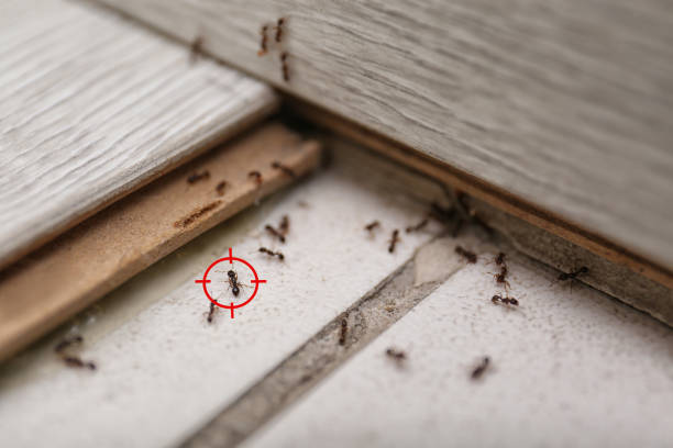 Best Wildlife Control Services  in Audubon Park, KY