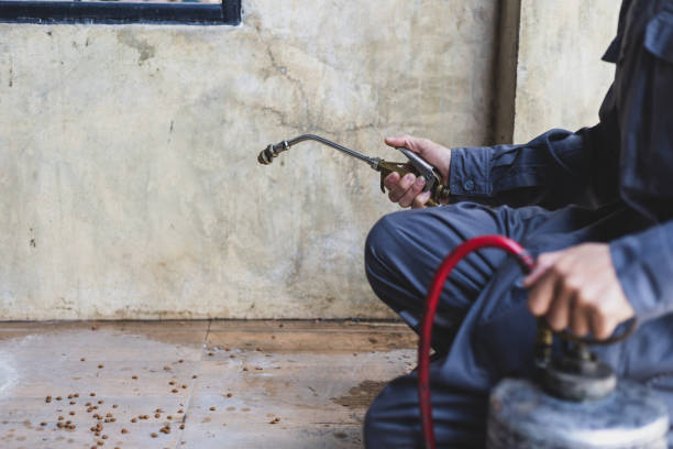 Wasp Removal Services in Audubon Park, KY