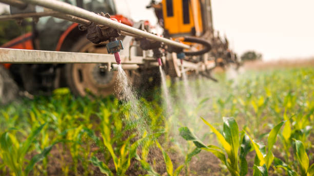Best Pest Removal Services  in Audubon Park, KY